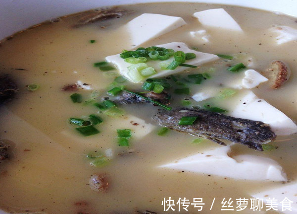 泥鳅|中医脾胃不好的人，多吃3物，少做1事，健脾养胃，还预防湿气