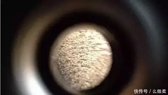  放大|把金丝楠木放大100倍后的样子，你有见过吗？