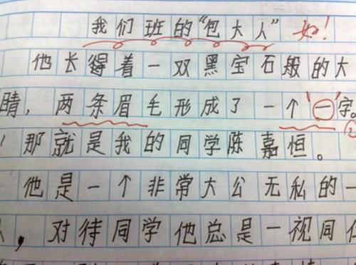 一封信》,100字用11个成语,网友甘拜下风