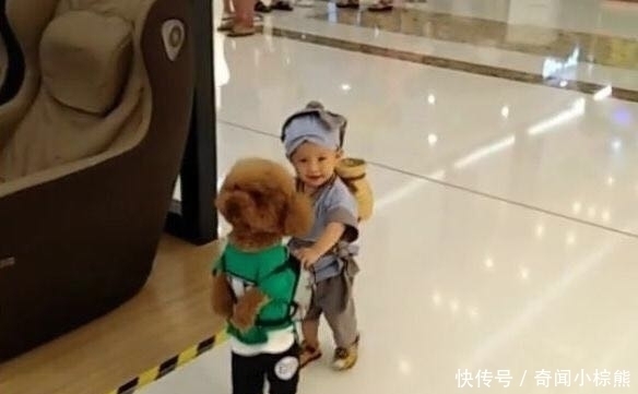 宝宝|宝妈带两个“宝宝”逛街,众人围观,走近细看后,乐得哈哈笑