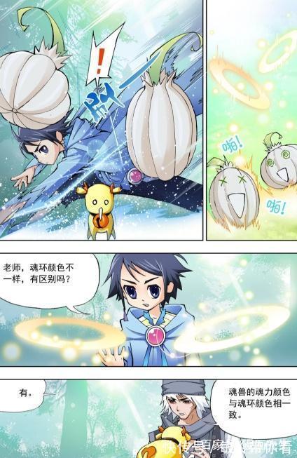 今生今世|斗罗大陆:魂兽与魂环的关系!大师的遗憾!