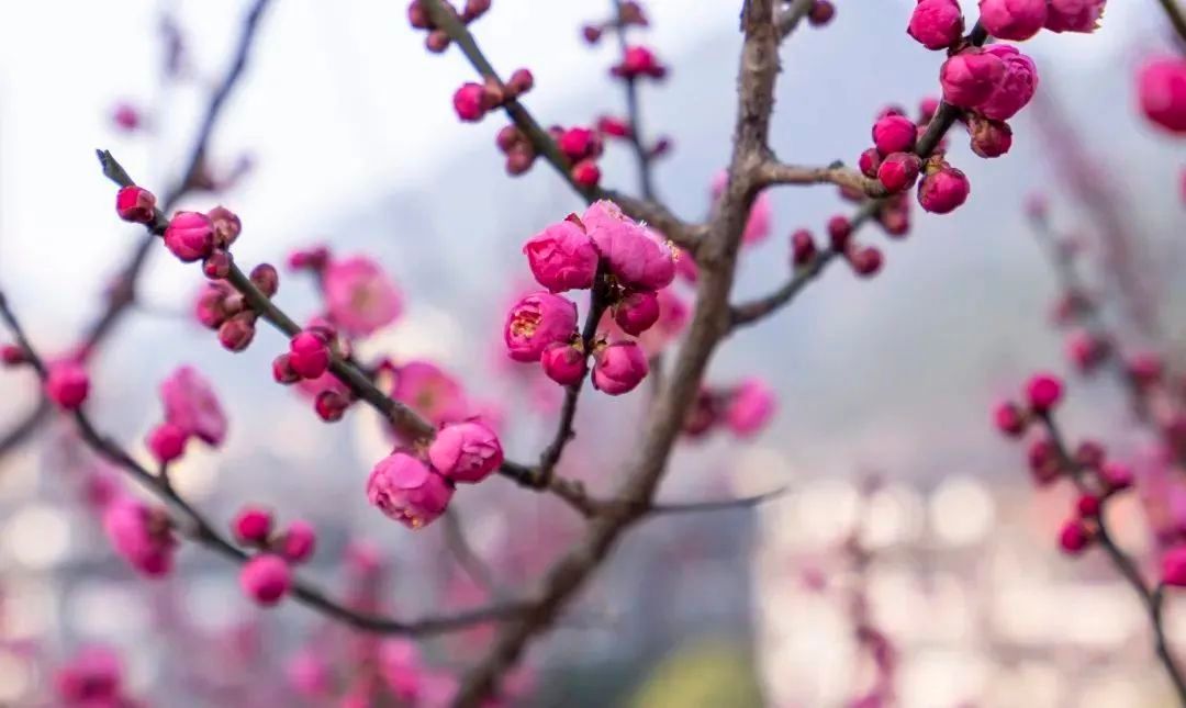 节气！二十四节气｜小寒至 严冬始