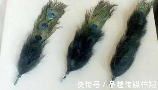 补子|“三眼花翎”到底多珍贵?为何清两百多年,只有7个人获得?