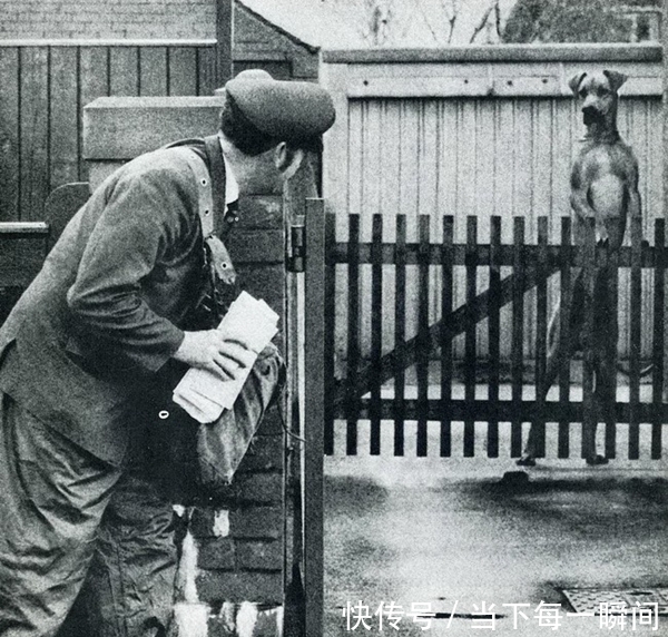 忍俊不禁|18张让人忍俊不禁的老照片