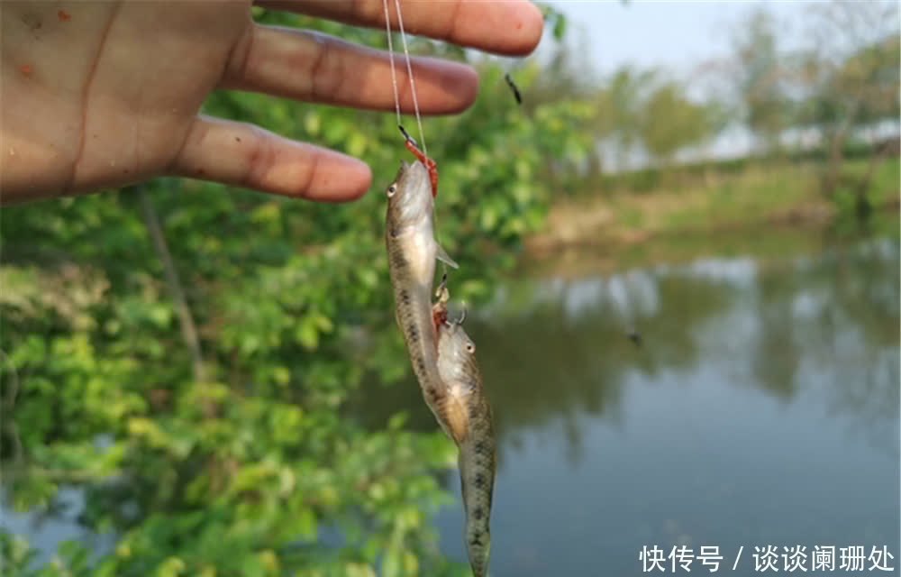 当代钓鱼人之“痛”:大包小包出门,两手空空而回,心是真的酸!