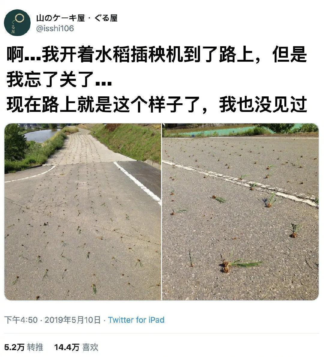|搞笑神评论:这家早餐店的味道真的好,每天都要来吃三大碗