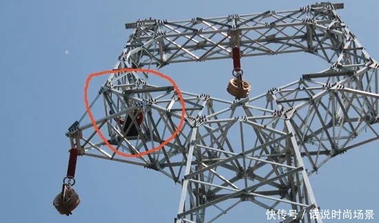 吸收食盐|炒菜太咸怎么办加糖加醋加味精都不对,简单一招比放水还简单