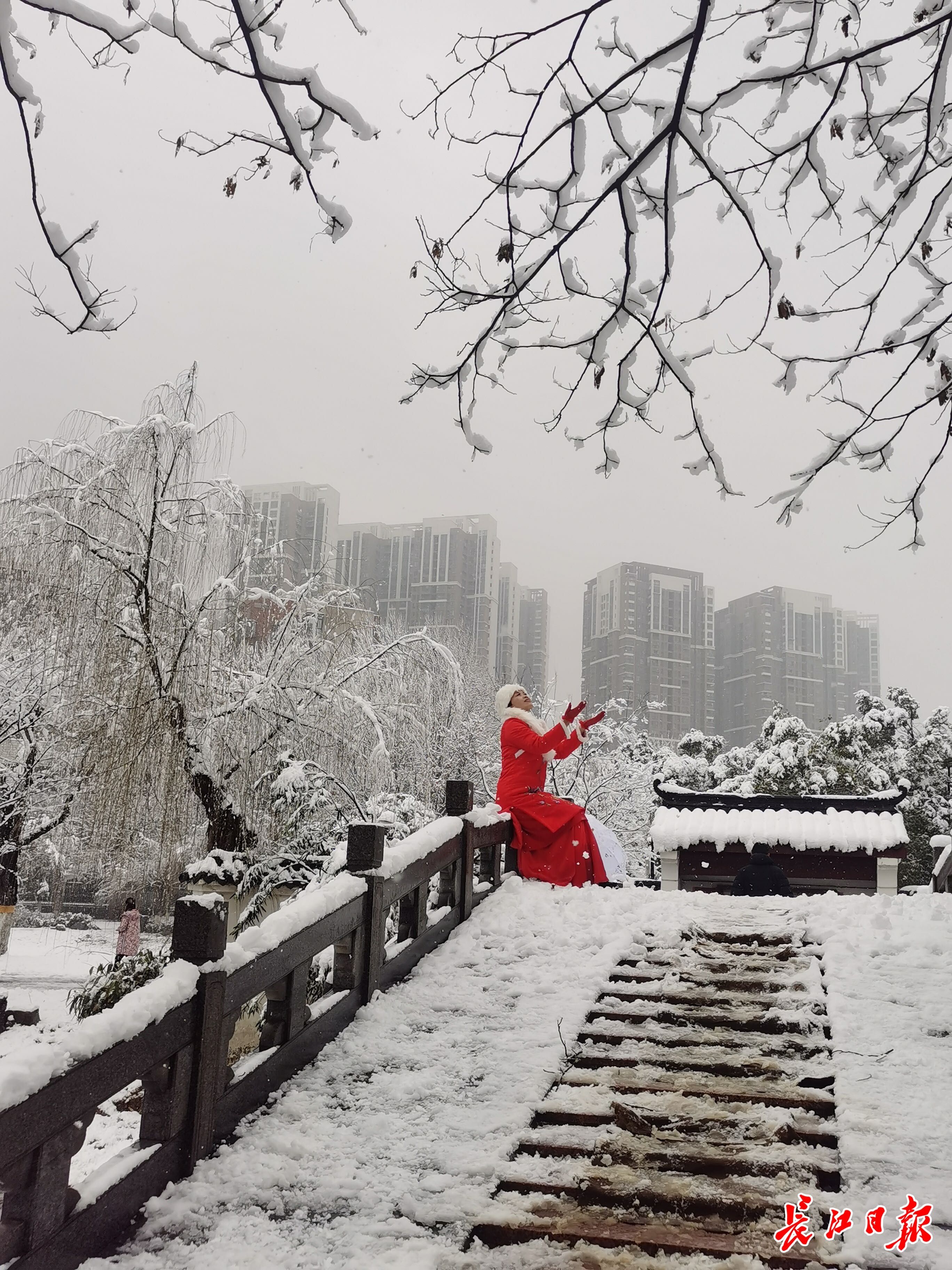 胡九思|虎年迎初雪，武汉“银装素裹”