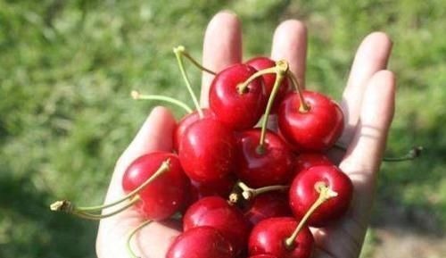 零嘴|女生怀孕后,这3种零嘴经常吃,生出的宝宝颜值会非常高