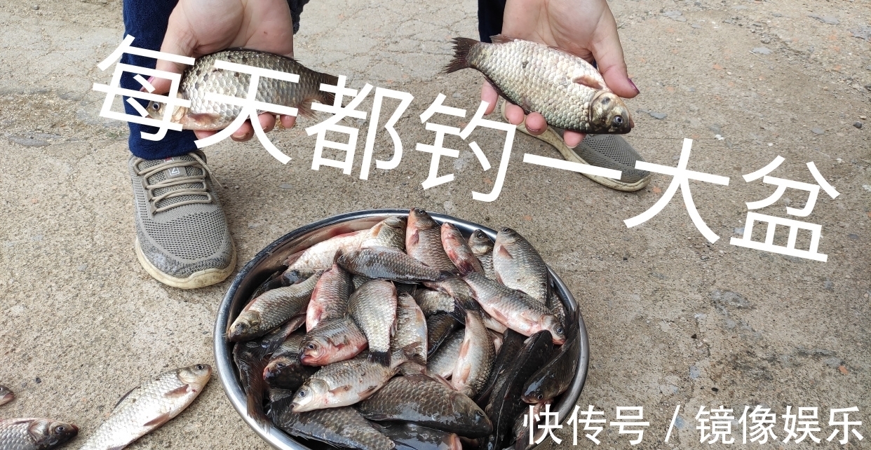 晚秋钓鲫鱼,别再用酒米打窝了,这几种窝料效果比酒米好太多了