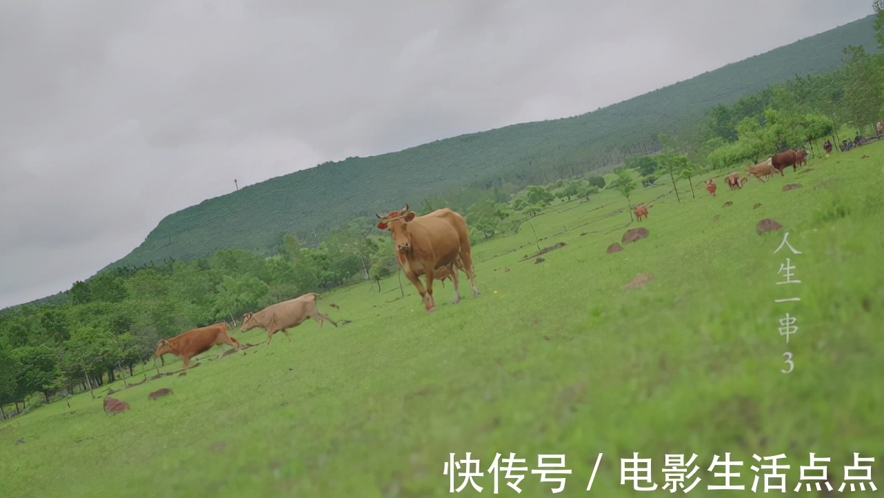 播放量破亿、351万人同时追更!8.7分国产鲜肉片,馋到流口水