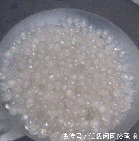 买奶茶的时|买奶茶时,这5种料子不要加,都是添加剂,对身体不好,少吃