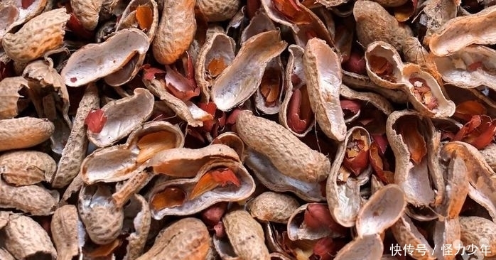 中年|花生壳别再当垃圾扔了,解决了很多常见的