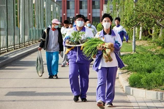 在劳动中成长~朝阳学子精彩不“打烊”！