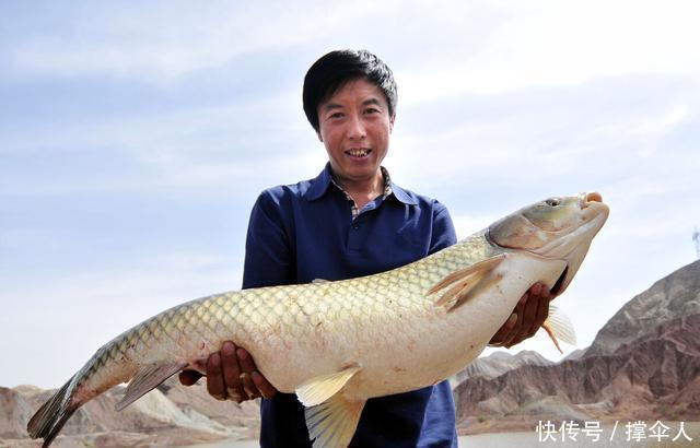 垂钓的钓竿|野钓,黑坑和竞技钓竿的核心在于垂钓特性---皇禾钓具