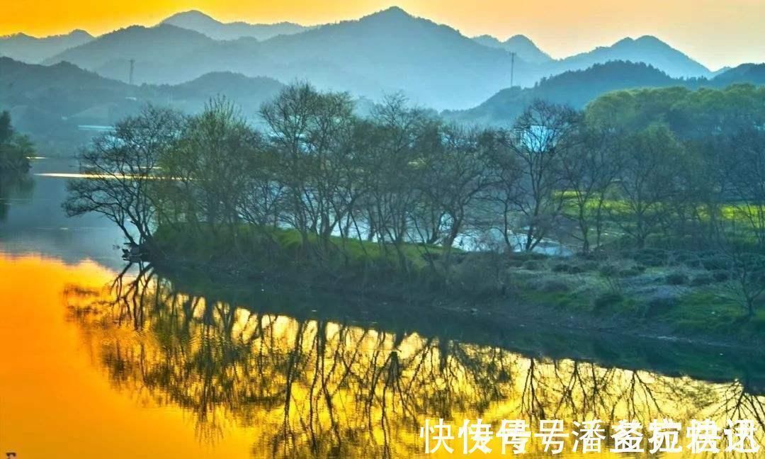 陶渊明#元稹最经典的一首咏菊诗,写出了不一样的菊花,通篇美得令人心醉