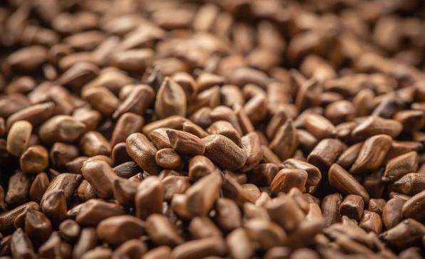 汇总|每天学一味中药汇总高血压、糖尿病、心脏病，中医都有什么药