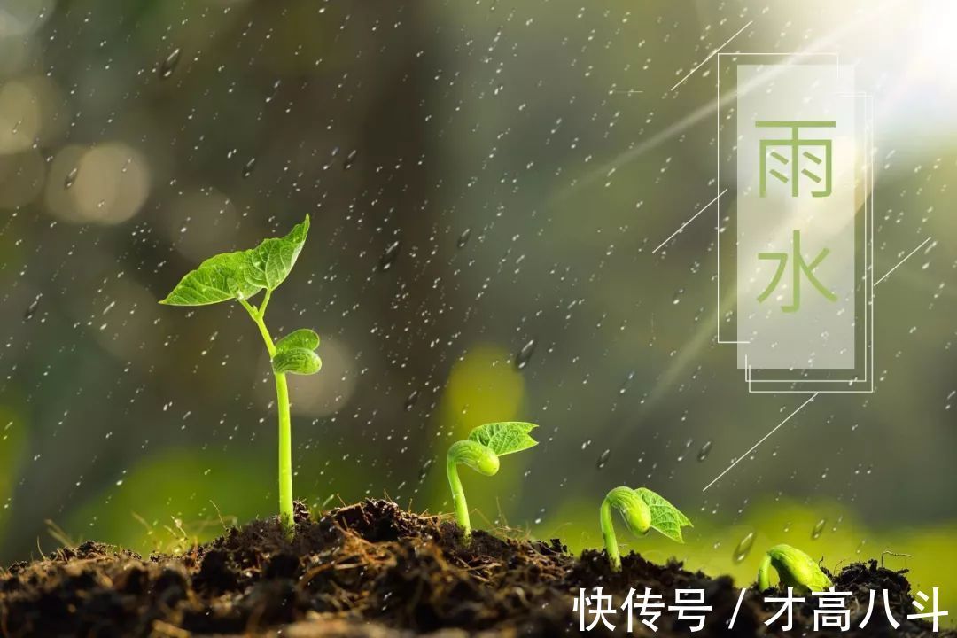 淮中晚泊犊头@20首春雨诗词,一朝春雨过,万物皆清明