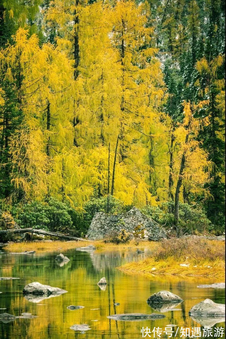 自驾|最值得一去的6处秋景，太美了！短暂的秋季美好，千万别错过