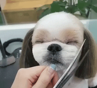 |搞笑GIF:姑娘 你这算是魔术吗 为什么我做不到