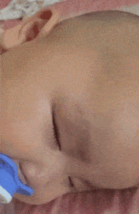 |搞笑GIF：我就用它来送个快递，看什么看？