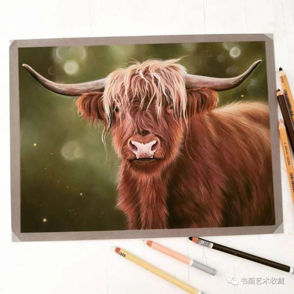  美女|一匹马画了16年！美女学渣逆袭成功，坚持下来很酷！