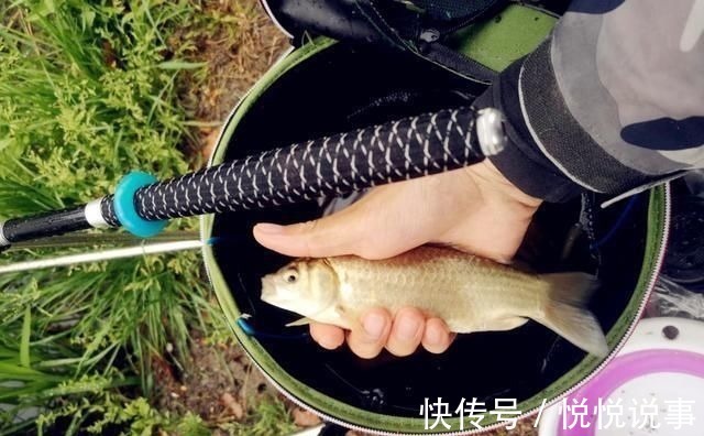 野钓|野钓大半辈子,竟然才知道诱鱼最管用的方法,你尝试过了吗