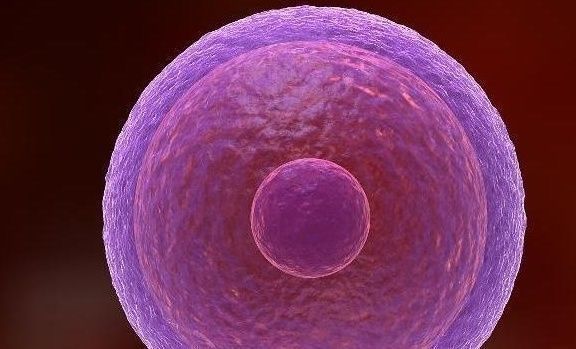 怀孕|女人月经走后多久容易怀孕安全期是什么时候看完或许一清二楚