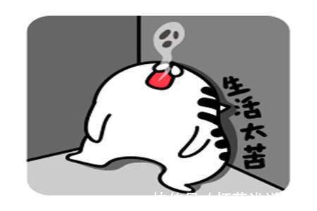 |幽默笑话:俺看着离婚的女经理挺可怜,就花8万元彩礼娶了她