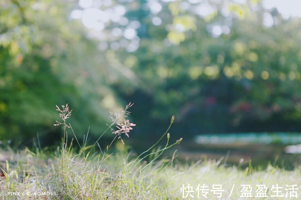 青森|日本青森夏日祭--神秘而热闹的睡魔祭