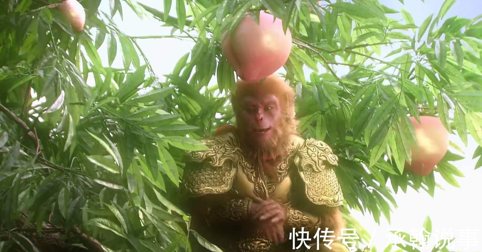 孙悟空|为啥孙悟空只敢吃九千年的蟠桃,上万年的却不敢吃?