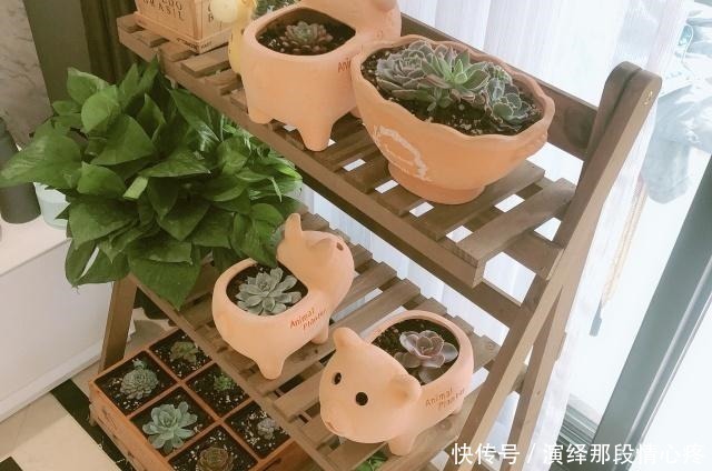 电视机|通风两个月一家三口幸福入住,全屋真漂亮,儿子特别开心,晒晒!