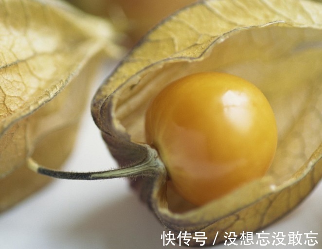老太|女性不想老太快，可多吃此果，改善貧血，淡化色斑，皮膚更紅潤