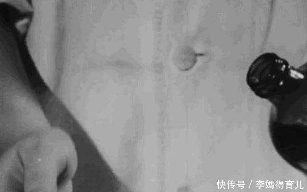 宇航员 第一个登上太空的宇航员,不是加加林,而是一只狗……