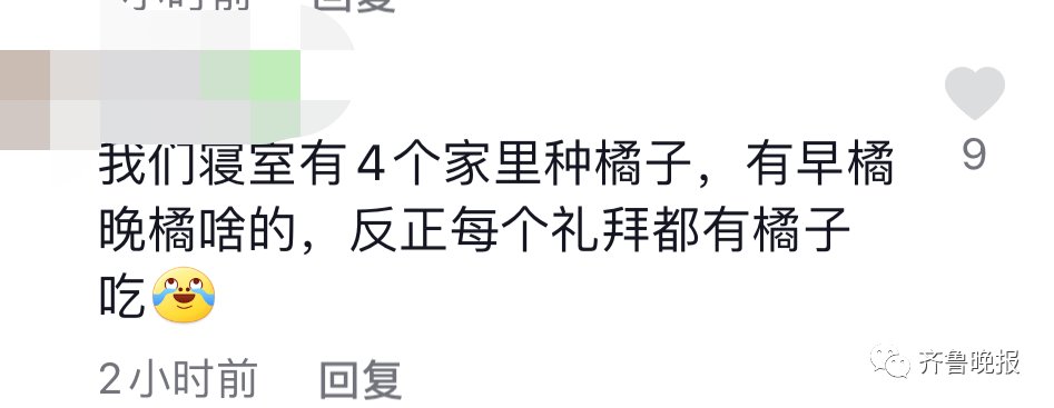 冬枣|来了来了，山东室友返校带着60斤冬枣来了！评论区可太暖了