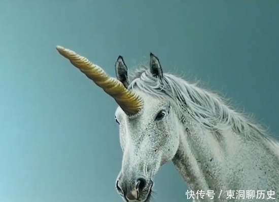 手法|美术生手绘独角兽，超写实手法惊艳全场，网友：比照片还真实