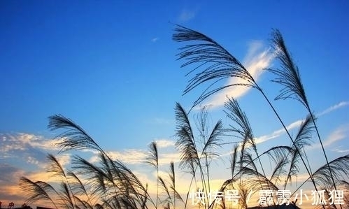 紫绶金章&宋代的一首佳作,彰显淡泊襟怀,颈联仿佛两幅生动的写意图画