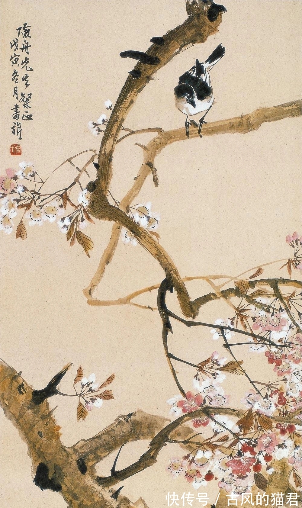 花鸟画!独特的魅力|张书旂花鸟画