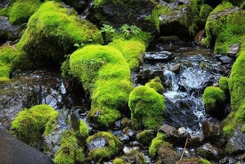 镇坪飞渡峡，大巴山最后的秘境