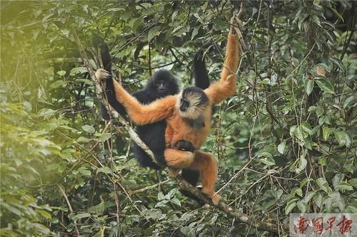 2021年3月31日焦点图