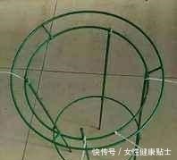 牙签扎个洞，插上仙人球，嫁接在“神木”上，变成“仙人球树”！