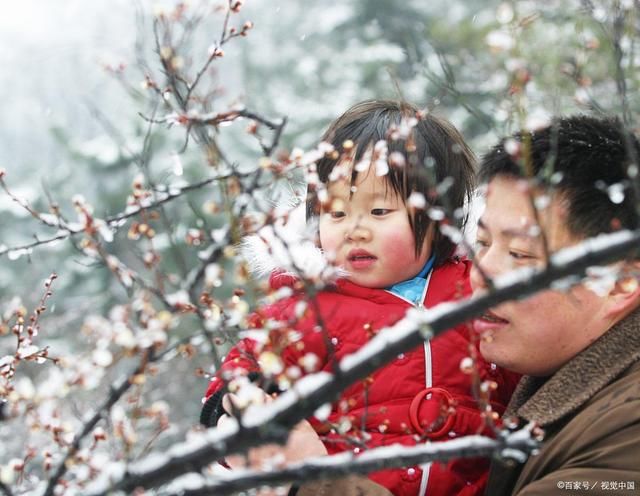 遥思&19首梅花雪诗词:孤山纵有花千树，不见当年白鹤归