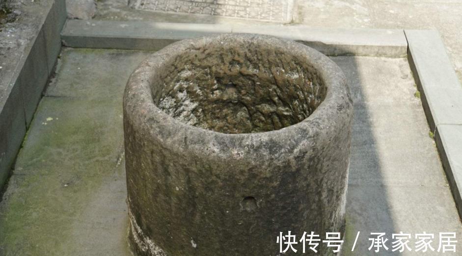 花友们|用什么水浇兰花合适?