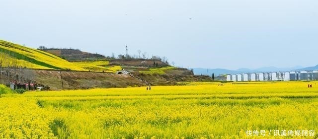 百万亩油菜花在这里开得正艳，这座小城正在打开秦岭南麓的春天