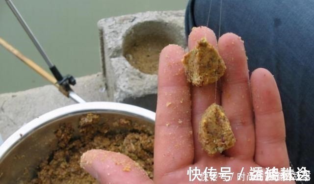 鲫鱼|鲤鱼钓了三十年,至今才公开这饵料,一般人还真不晓得,莫泄露