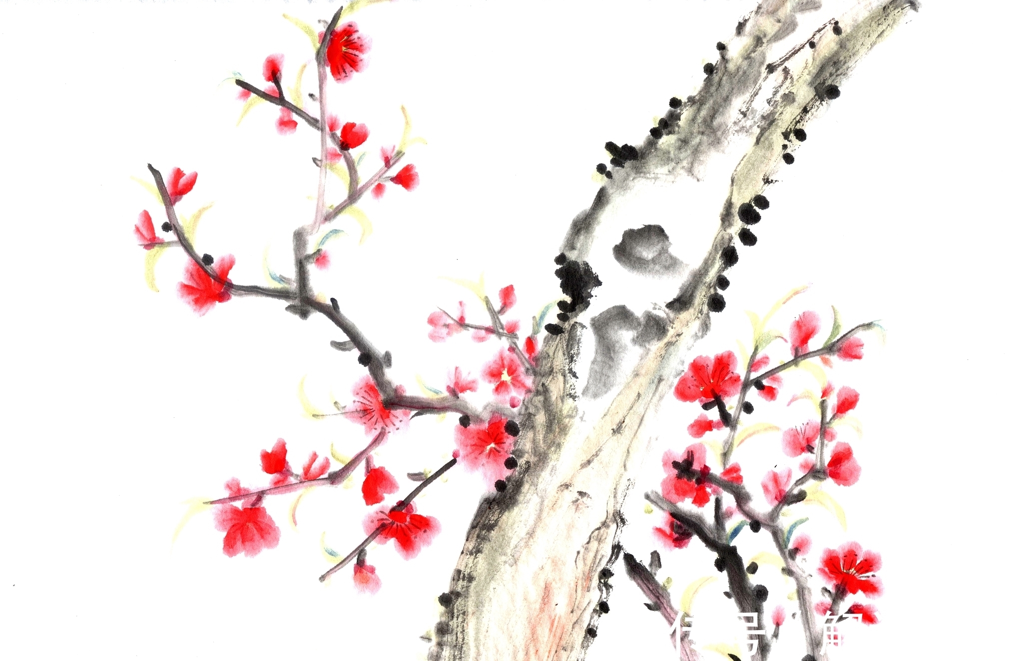 对韵&十大名花对韵:春来我不先舒蕊,雪里凭谁敢放花