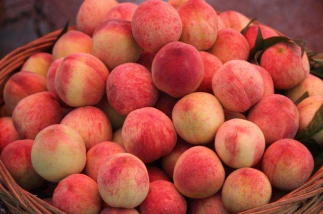 孕妈|老人说,孕期吃桃子,容易导致孕妈流产,这是真的么