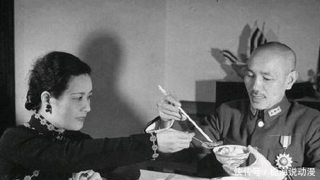 老蒋|老蒋与宋美龄夫妇感情尚可, 为何没有生下属于两人的孩子?