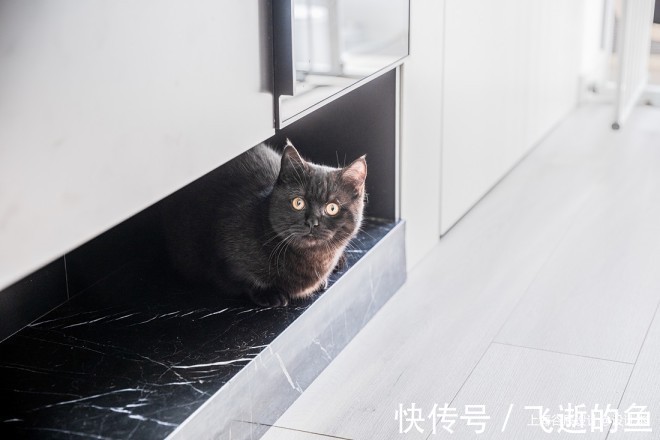 餐厨|62㎡小户型解读年轻人眼中的家