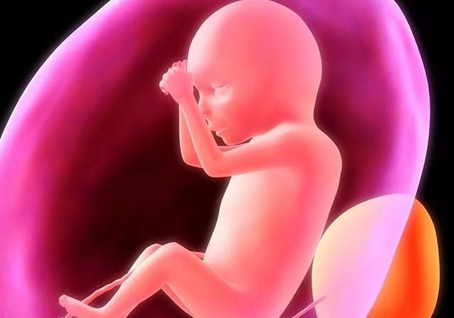 b超|孕检B超四维时胎儿害羞不动，孕妈别着急，8个技巧让孩子活跃配合你